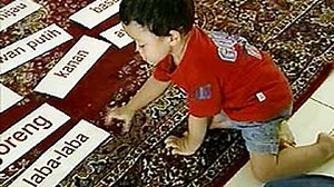 Glenn Doman, Cara Cepat Belajar Membaca