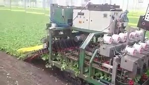 7.7M views · 158K shares | Wow | Civil Engineering Discoveries | Facebook