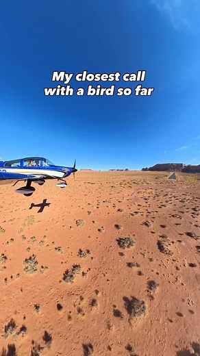 So fast you can barely see it, even in slo-mo. Spotted the bird siting on the centerline as i was about to touch down and all I could do was swerve to the left and hope it’d fly the other way. Fortunately it did! Never had an actual bird strike, but this was the closest I’ve been to having one. | Fly With Bruno