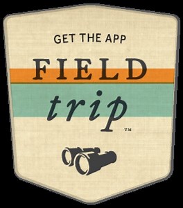 Local Music Vibe and Google Field Trip Reveal Unique Live Music Experiences