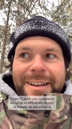 Encore temps de commander vos cadres et impressions! Voici comment on procède du début à la fin pour vous assurer la top qualité. Quand on vous dit que tout est fait ici, avec grand soin, on niaise pas :). www.jclemayphotoboutique.com | Jean-Christophe Lemay - Photographe