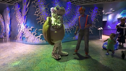 En el Acuario con Blippi Español | Peces para Niños y Infantil
