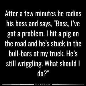 Arts and Humor on Reels