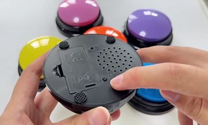 Dog Talk Buttons Voice Recording Button for Communication and Pet Training 30-Second Record & Playback Talking Button for Study, Office, Family, and Kids (Green, one)