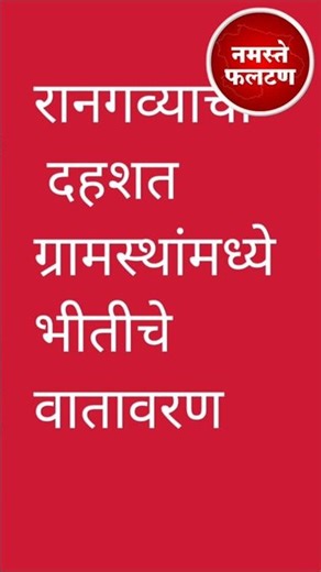 रानगव्याची दहशत, एकास धडक #crime #police #phaltan #satara #bjp #ncp #shivsena #baramati #news #rsp
