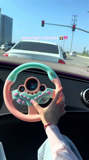 Passenger Princess: Glamorous Car Decor Ideas