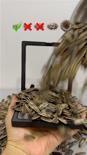 Which sunflower seeds are not suitable?