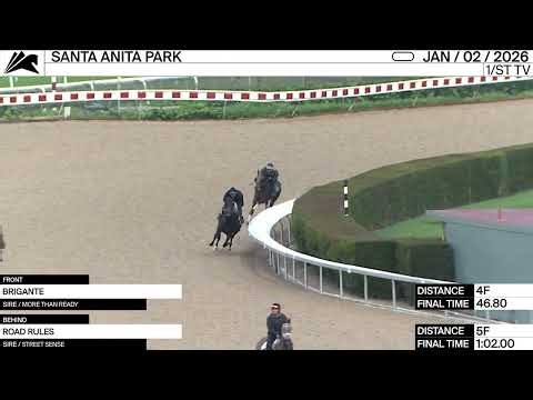 Work of the Day at Santa Anita Park: Brigante & Road Rules worked on January 2nd, 2026