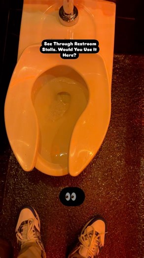 See Through Restroom Stalls | No Privacy #clear #restroom #bathroom #rest #room #women #men