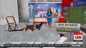 The Iditarod dog sled race begins today