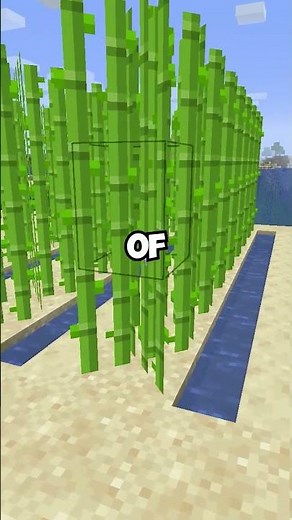 Upgrade Your Sugarcane Farm!