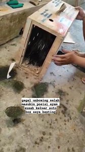 1.5M views · 7.1K reactions | salah posisi saat masukin ayam ke box auto susah keluar #tutorial #edukasi #viraal | Irwan Ernnawan Ilham Darusalam | Facebook