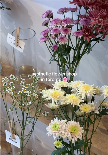 Everyone loves flowers 🌸 This shop is tucked away in Riverside. They’re all about those dreamy, offbeat arrangements—think locally-grown blooms tied into unexpected, gorgeous bundles and dried arrangements that actually look like art. You can grab-and-go, build your own bouquet, or order their “Floret Boxes” to DIY at home. 📍 Thyme Studio | 779 Queen St E #toronto #torontolife #torontotiktok #thingstodointoronto #torontofood