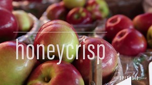19K views · 267 reactions | Fall means apple season. Lynne taste...