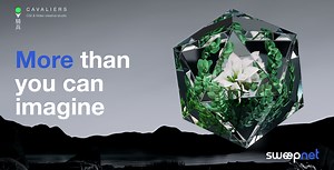 Sweep Net. More than you can imagine