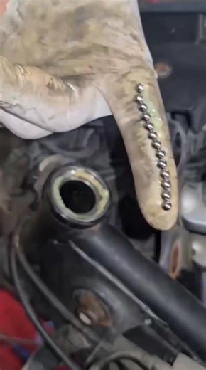 Badang seeds | អារម្មណ៍-felling