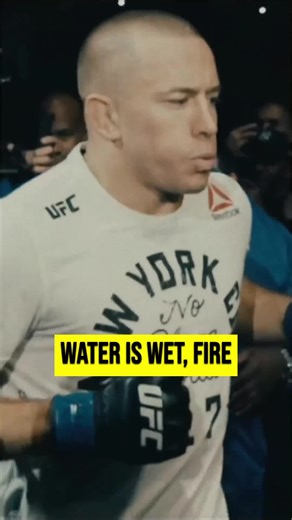 GSP vs Bisping: A Fight for the Ages