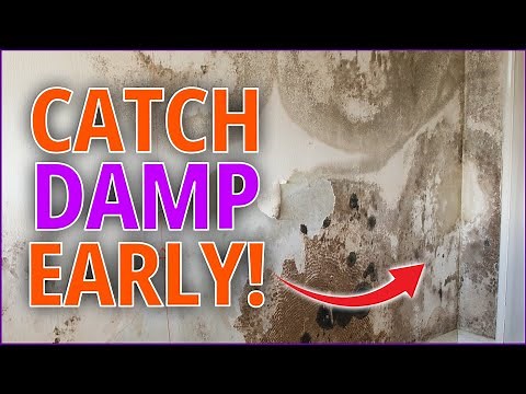 How To Spot Signs Of Damp in Your House!