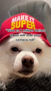 52K views · 291 reactions | If your car aircon’s cranked to Arctic but you’re still feeling warm, the problem could be as simple as low refrigerant pressure. Which is something you can fix yourself in 10 minutes with this super easy-to-use AC Pro Recharge Kit. No sweat! WARNING – Only suitable for vehicles compatible with R-1234YF gas refill. Not suitable for vehicles requiring R-134a gas refill. for more information https://bit.ly/3q3UE9M. AU Only | Supercheap Auto | Facebook