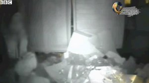 Shocking moment homeless man is tipped into bin lorry crusher