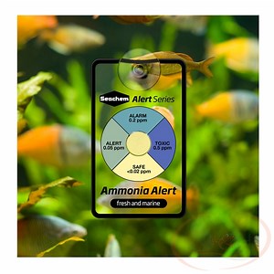 Seachem Ammonia Alert