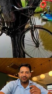 934K views · 9.6K reactions | Nature at its best , natures video #nature #naturerules #trees #plants | Travel with Bonnie | Facebook