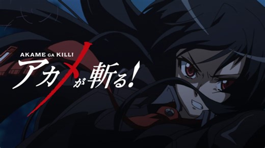 日漫《斩·赤红之瞳》4K版 全24集