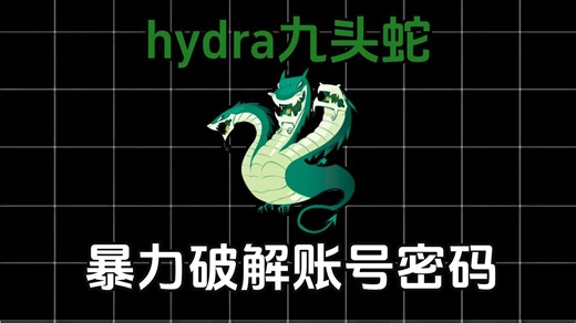 【Hydra教程】10秒钟傻瓜式暴力破解账号密码（附安装包&字典），kali/web/渗透测试/网络安全/密码破解工具