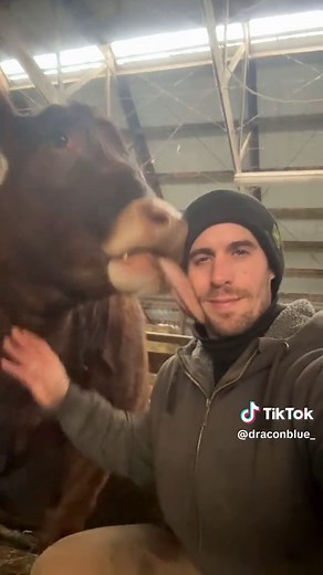 #farm #farmlife #fyp #farming #farmtok | farming