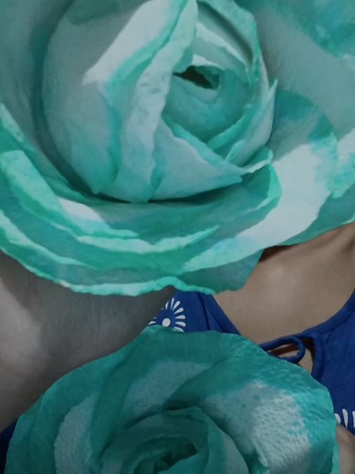 hoy rosas de papel #parati #rosas