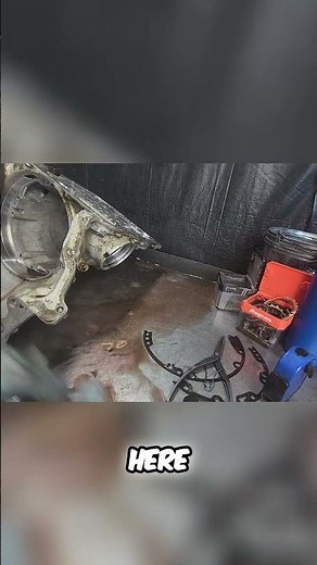 Broken Shell? Signs of Damage & Replacement Guide