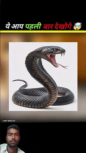 ये जानवर 🐵🐅 🐶 जब छोटे थे तब ये कैसे 😱 दिखाई देते है 🤔🐺#animals #facts #shorts