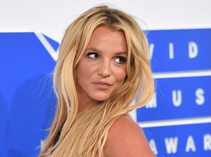 Britney Spears reunited with dogs after housekeeper dispute: report