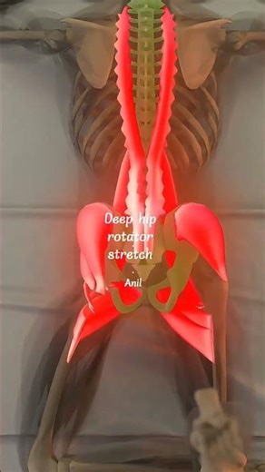Deep hip rotator stretch