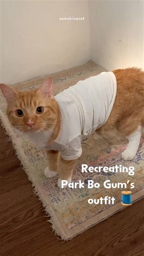 삼 Sam on Instagram: "😾: samchon please notis aku!! 🙌🏻 #kucing #kucinglucu #catoftheday"