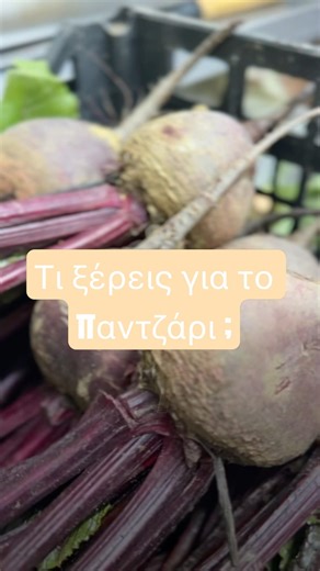 Τι ξέρεις για το παντζάρι; .#cheflife #food #beetroot #arapoglou #foodie