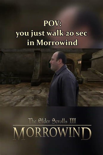 Morrowind Funny & Accurate pt 11