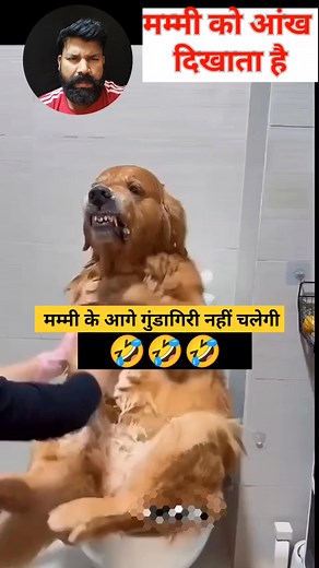 Ankh mat dikhao 🤣🤣🤣 #foryoupageシ #doglover #dog #funnymoments #funny #reelsfbシ #comedy | Vikash Chauhan
