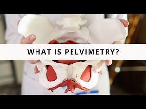 Digital Pelvimetry ; technique used to assess the size and shape of the female pelvis