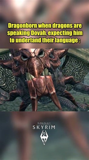 Skyrim: Funny & Accurate pt 155