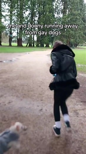 Stop Your Dog from Humping Donny: Understanding This Behavior