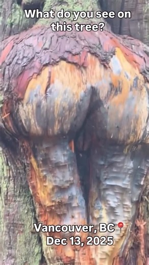 Clyde B Owuama on Instagram: "That’s some thick ass wood!👀😂 #iamgroot"