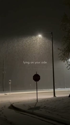 505 - Arctic monkeys #lyrics