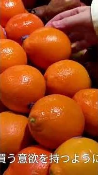 需要と供給の基本原理