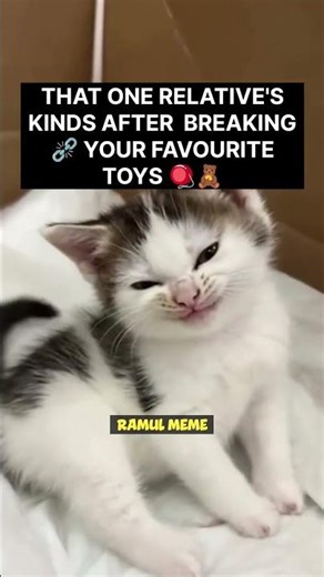 When Your Relative’s Kid Breaks Your Favourite Toy 😭💔 | Relatable Desi Meme