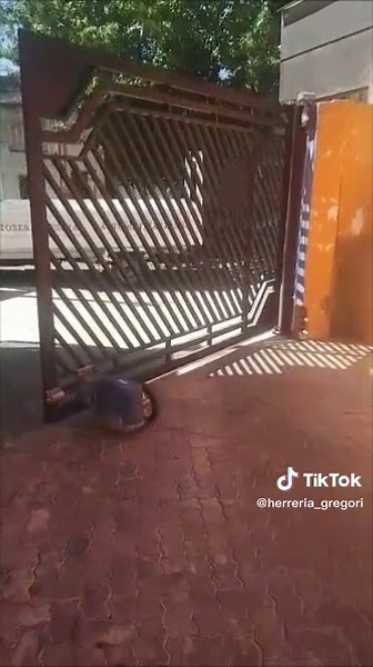 Portón Pivotante Automatizado con Pivus Robot 1.5