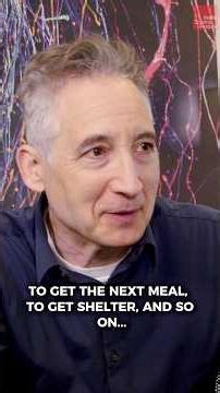 Understanding the universe and its non-obvious patterns. #briangreene