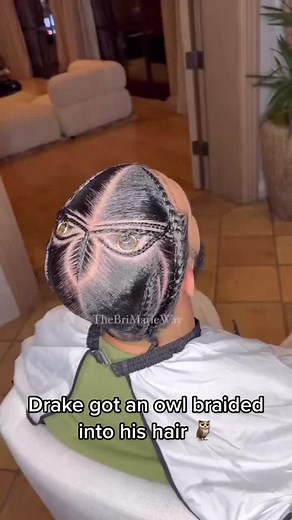 Spotting the Owl in Drake's New Hairstyle