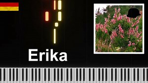 Подборки видео для вас — поиск Яндекса по видео