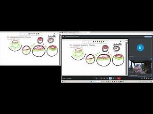 Embryology Simplified: Notochord Formation Explained!